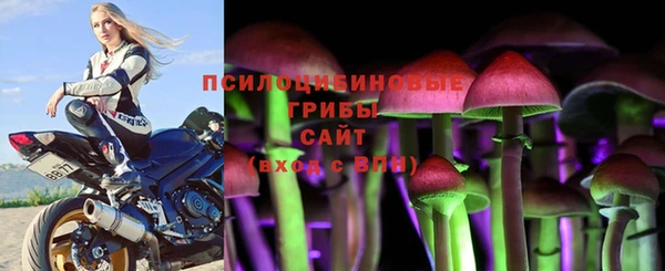 apvp Балабаново