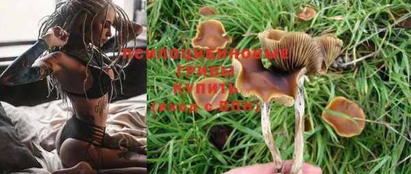 apvp Балабаново