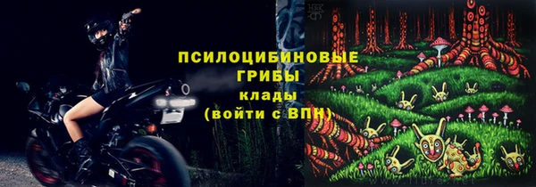 apvp Балабаново