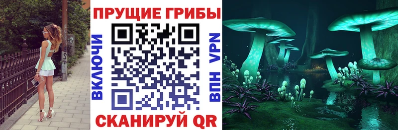 купить наркоту  Жиздра  Галлюциногенные грибы мухоморы 